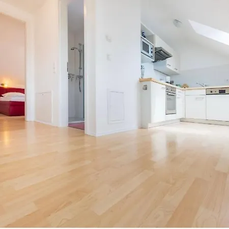 Judith App. 3 Silbermoewe *